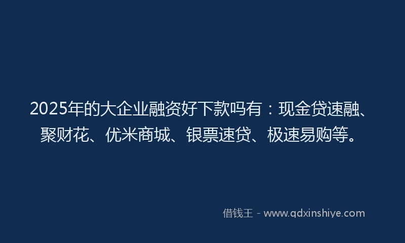 2025年的大企业融资好下款吗有：现金贷速融、聚财花、优米商城、银票速贷、极速易购等。