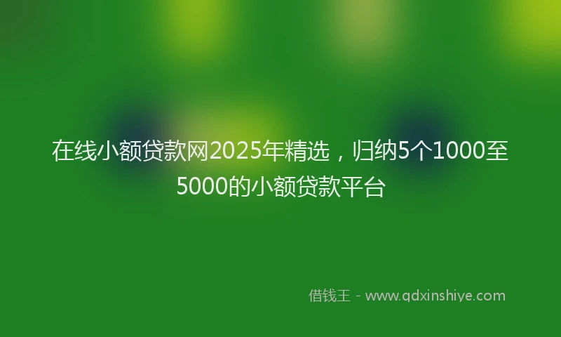 在线小额贷款网2025年精选，归纳5个1000至5000的小额贷款平台