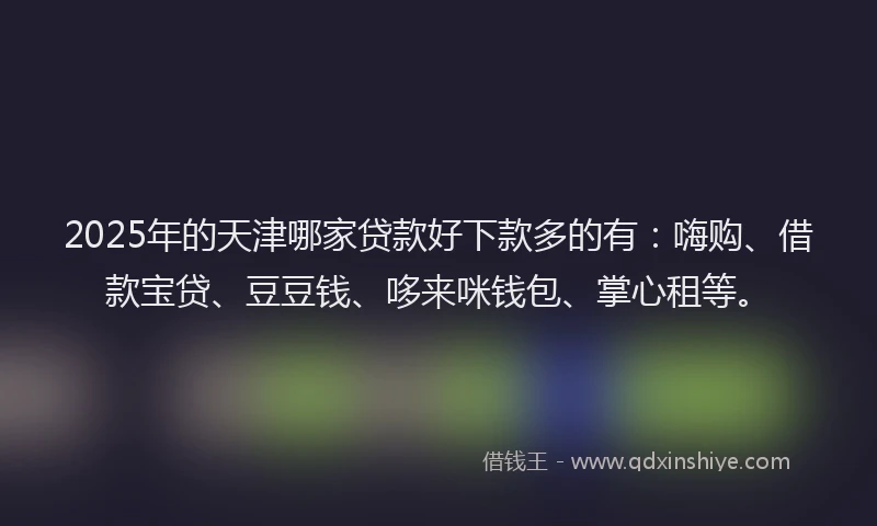 2025年的天津哪家贷款好下款多的有：嗨购、借款宝贷、豆豆钱、哆来咪钱包、掌心租等。