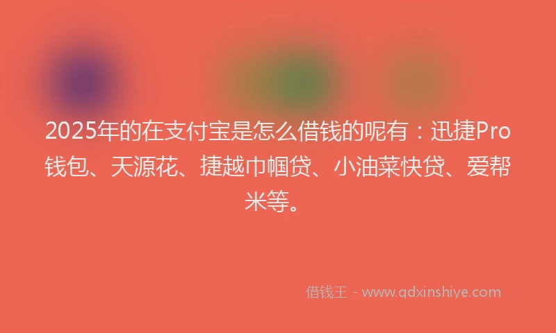 2025年的在支付宝是怎么借钱的呢有:迅捷Pro钱包、天源花、捷越巾帼贷、小油菜快贷、爱帮米等。