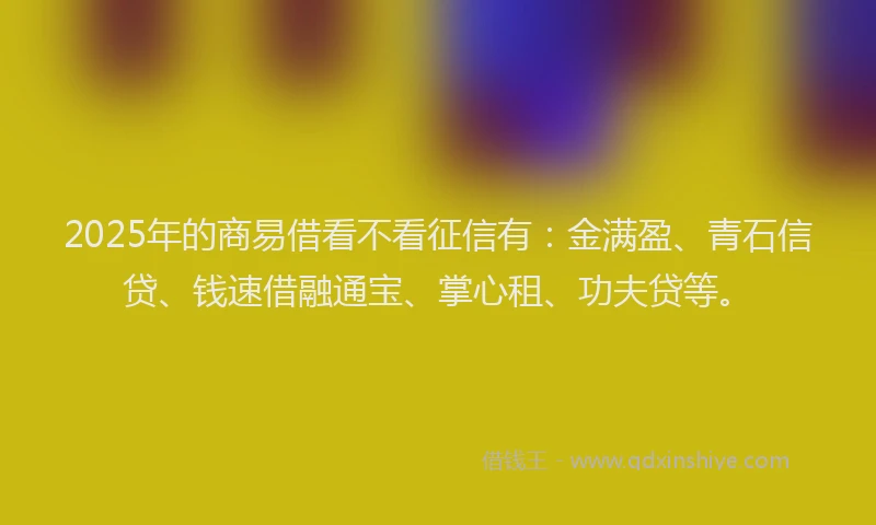2025年的商易借看不看征信有：金满盈、青石信贷、钱速借融通宝、掌心租、功夫贷等。