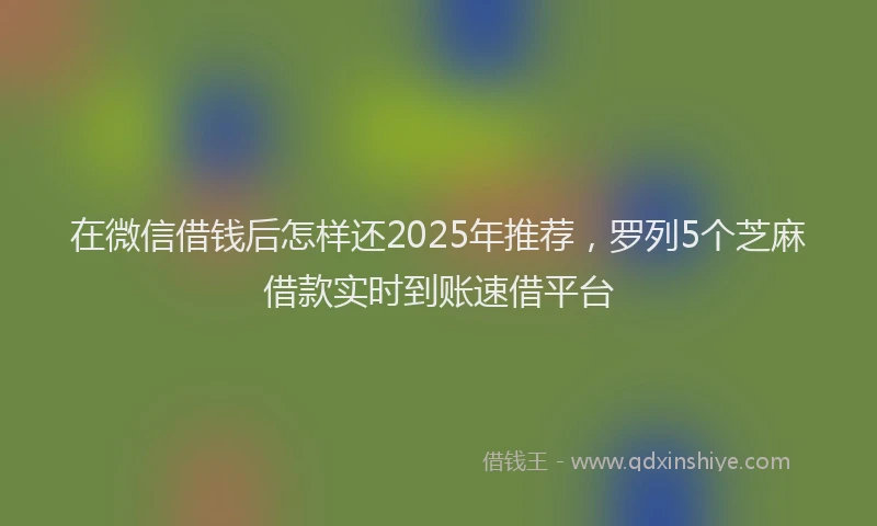 在微信借钱后怎样还2025年推荐，罗列5个芝麻借款实时到账速借平台