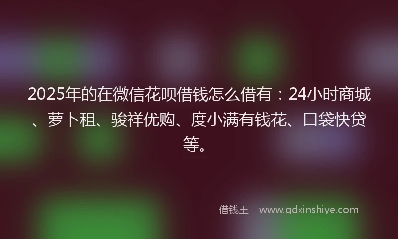 2025年的在微信花呗借钱怎么借有：24小时商城、萝卜租、骏祥优购、度小满有钱花、口袋快贷等。