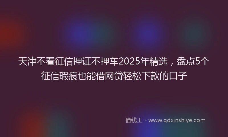 天津不看征信押证不押车2025年精选，盘点5个征信瑕疵也能借网贷轻松下款的口子