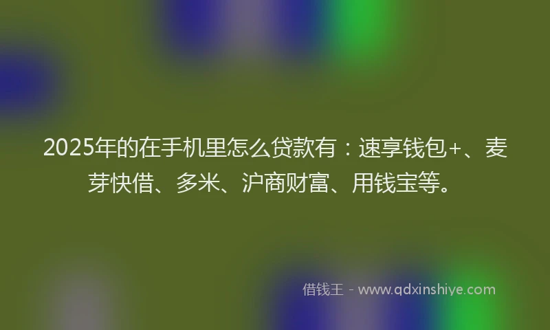 2025年的在手机里怎么贷款有：速享钱包+、麦芽快借、多米、沪商财富、用钱宝等。