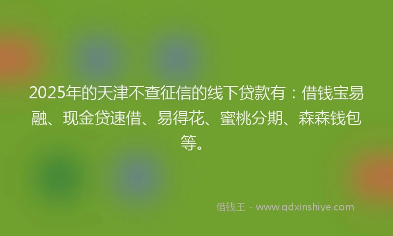 2025年的天津不查征信的线下贷款有:借钱宝易融、现金贷速借、易得花、蜜桃分期、森森钱包等。