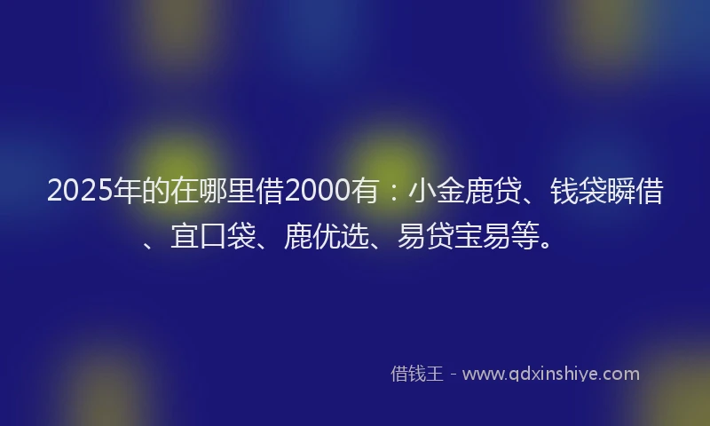 2025年的在哪里借2000有：小金鹿贷、钱袋瞬借、宜口袋、鹿优选、易贷宝易等。