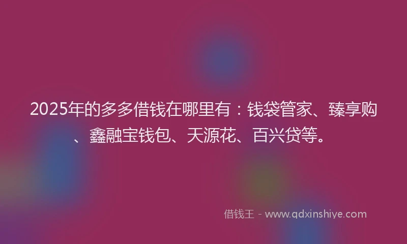 2025年的多多借钱在哪里有：钱袋管家、臻享购、鑫融宝钱包、天源花、百兴贷等。