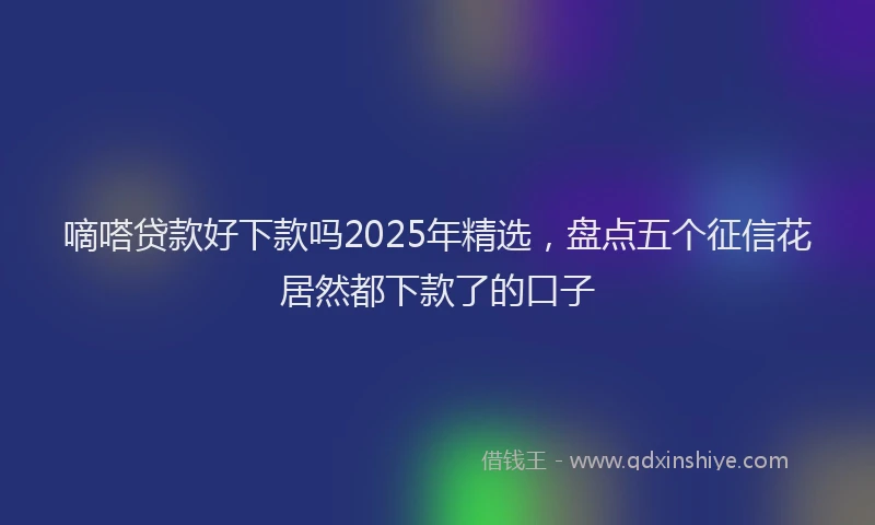 嘀嗒贷款好下款吗2025年精选，盘点五个征信花居然都下款了的口子