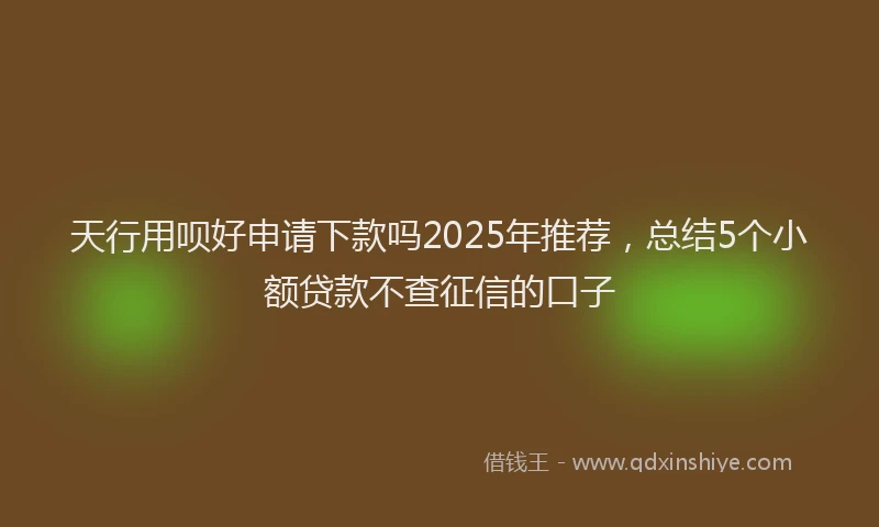天行用呗好申请下款吗2025年推荐，总结5个小额贷款不查征信的口子