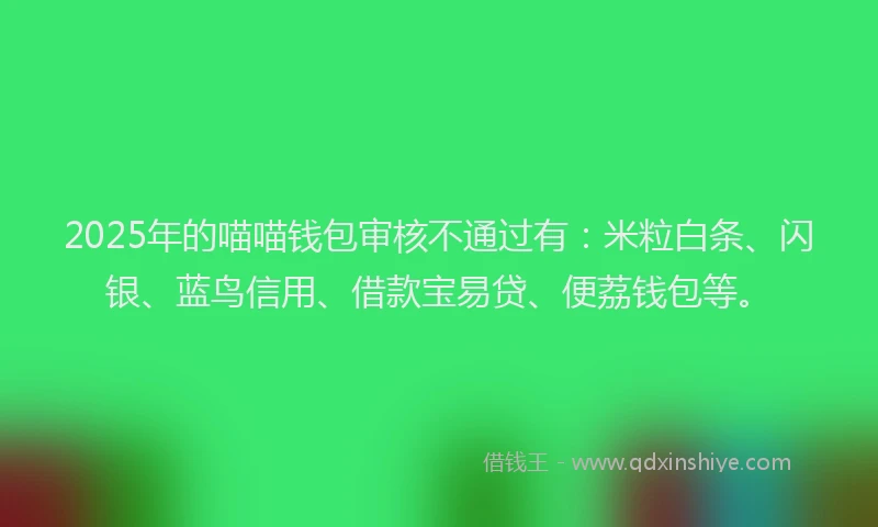 2025年的喵喵钱包审核不通过有：米粒白条、闪银、蓝鸟信用、借款宝易贷、便荔钱包等。