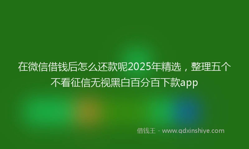 在微信借钱后怎么还款呢2025年精选，整理五个不看征信无视黑白百分百下款app
