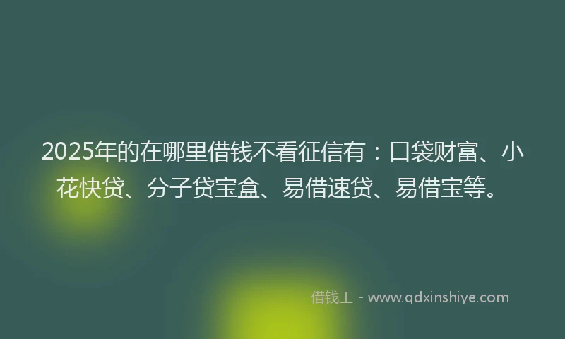 2025年的在哪里借钱不看征信有：口袋财富、小花快贷、分子贷宝盒、易借速贷、易借宝等。