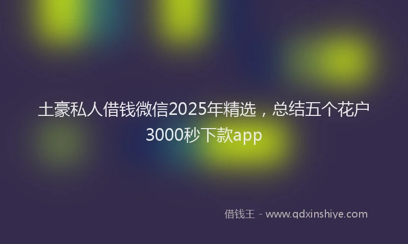 土豪私人借钱微信2025年精选，总结五个花户3000秒下款app