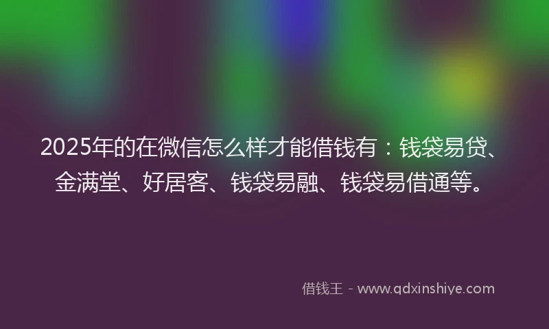 2025年的在微信怎么样才能借钱有：钱袋易贷、金满堂、好居客、钱袋易融、钱袋易借通等。