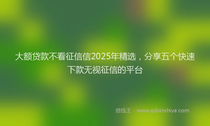 大额贷款不看征信信2025年精选，分享五个快速下款无视征信的平台