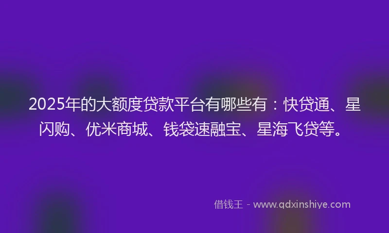 2025年的大额度贷款平台有哪些有：快贷通、星闪购、优米商城、钱袋速融宝、星海飞贷等。