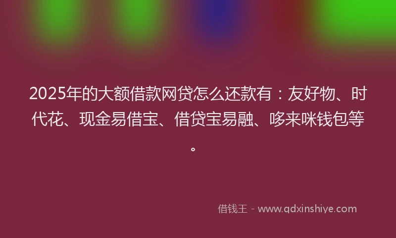 2025年的大额借款网贷怎么还款有：友好物、时代花、现金易借宝、借贷宝易融、哆来咪钱包等。