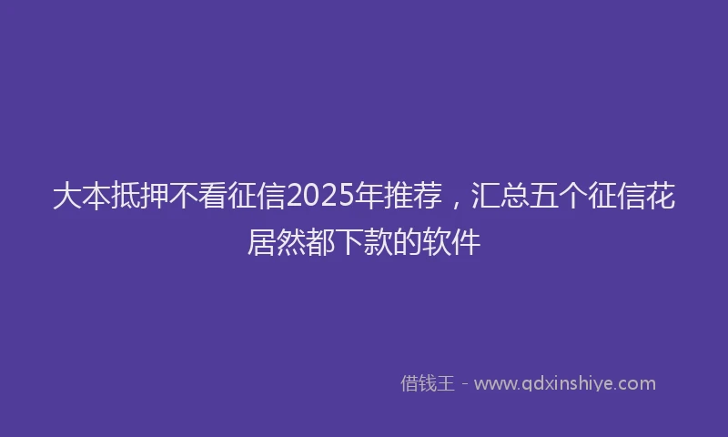 大本抵押不看征信2025年推荐，汇总五个征信花居然都下款的软件