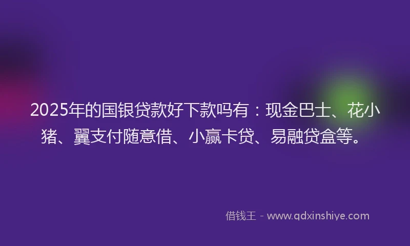 2025年的国银贷款好下款吗有：现金巴士、花小猪、翼支付随意借、小赢卡贷、易融贷盒等。