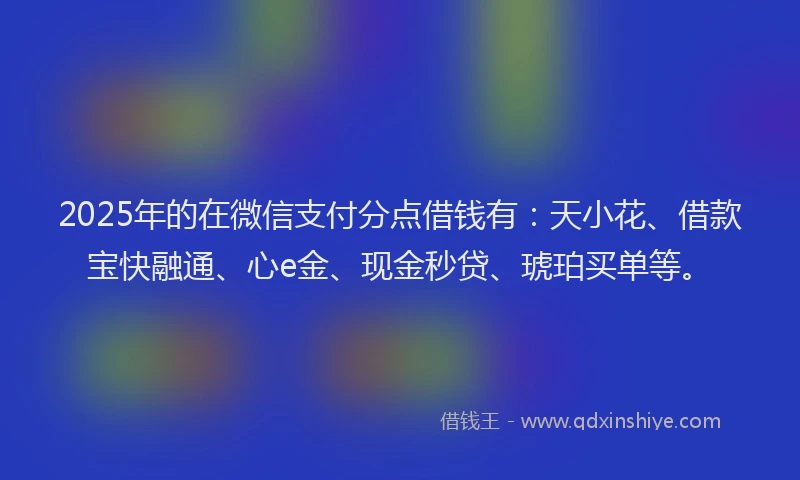 2025年的在微信支付分点借钱有：天小花、借款宝快融通、心e金、现金秒贷、琥珀买单等。