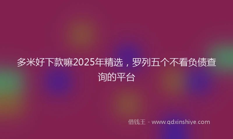 多米好下款嘛2025年精选，罗列五个不看负债查询的平台