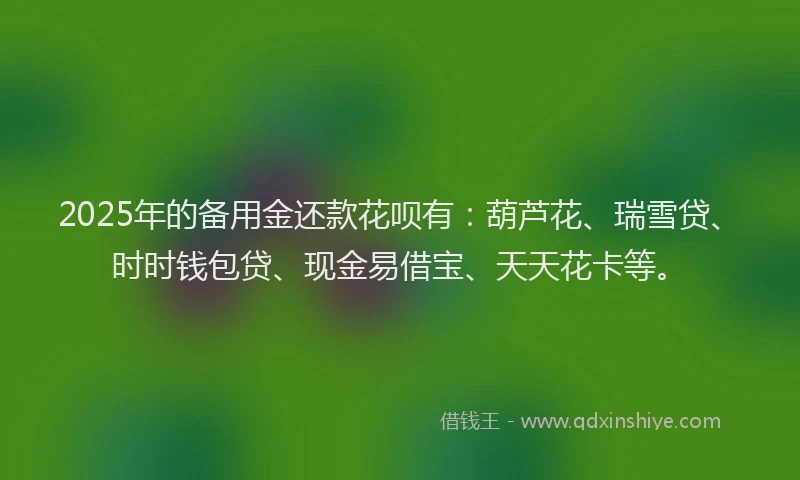 2025年的备用金还款花呗有：葫芦花、瑞雪贷、时时钱包贷、现金易借宝、天天花卡等。