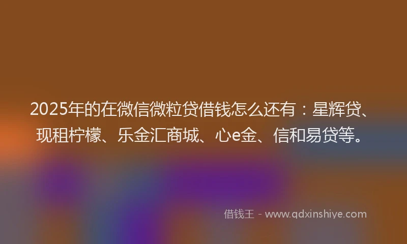 2025年的在微信微粒贷借钱怎么还有：星辉贷、现租柠檬、乐金汇商城、心e金、信和易贷等。