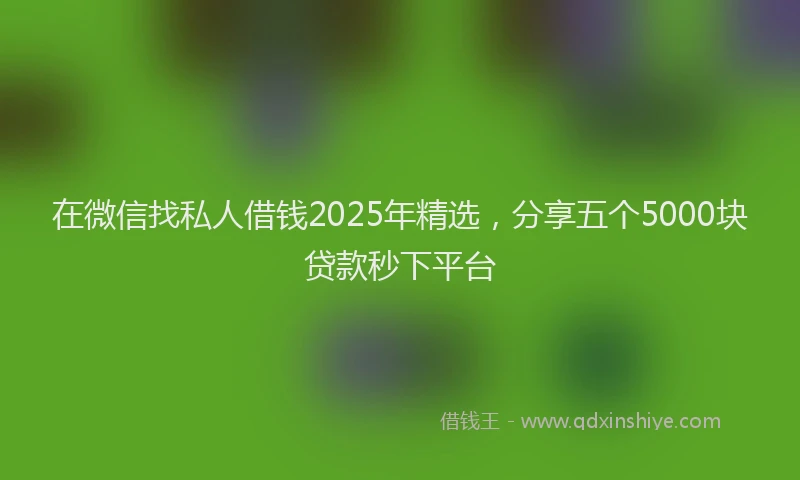 在微信找私人借钱2025年精选，分享五个5000块贷款秒下平台