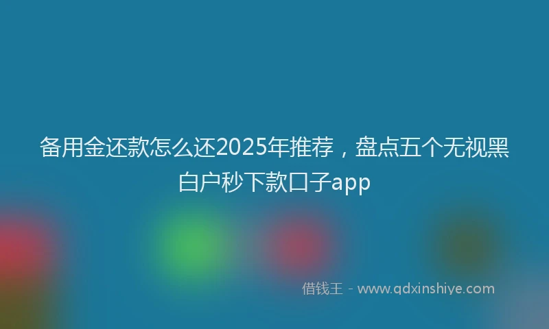 备用金还款怎么还2025年推荐，盘点五个无视黑白户秒下款口子app