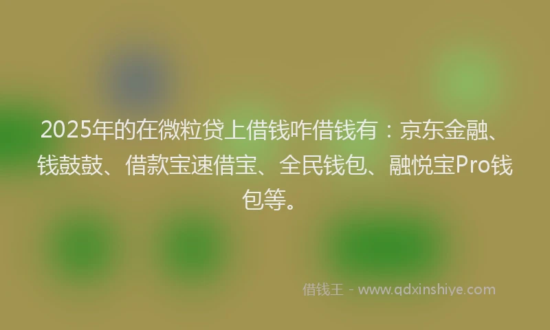 2025年的在微粒贷上借钱咋借钱有：京东金融、钱鼓鼓、借款宝速借宝、全民钱包、融悦宝Pro钱包等。
