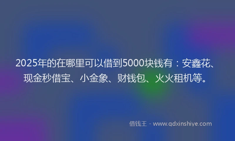 2025年的在哪里可以借到5000块钱有：安鑫花、现金秒借宝、小金象、财钱包、火火租机等。