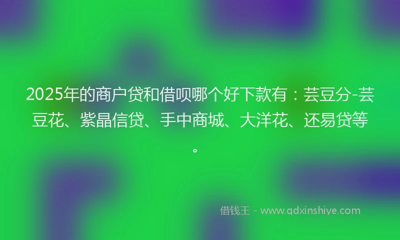 2025年的商户贷和借呗哪个好下款有：芸豆分-芸豆花、紫晶信贷、手中商城、大洋花、还易贷等。