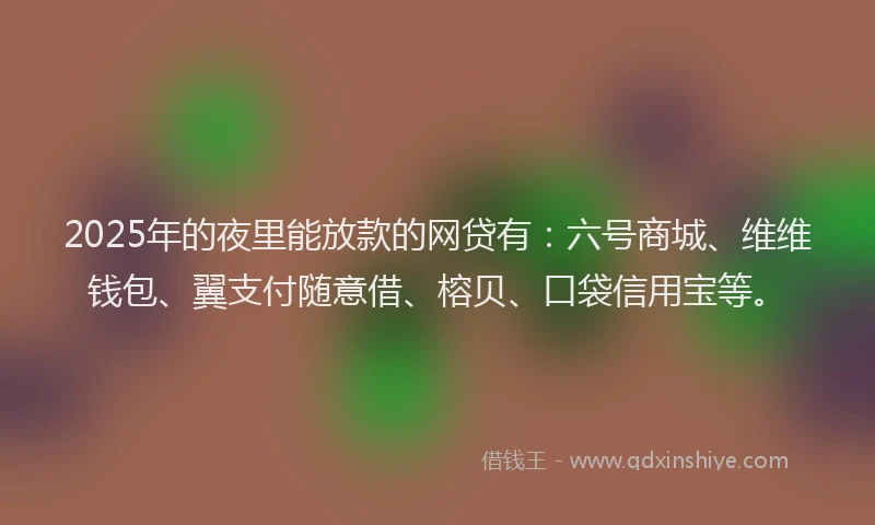 2025年的夜里能放款的网贷有：六号商城、维维钱包、翼支付随意借、榕贝、口袋信用宝等。