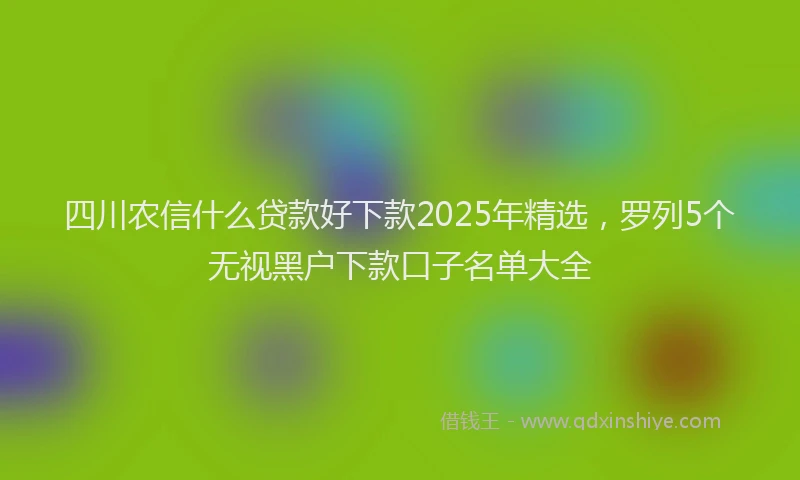 四川农信什么贷款好下款2025年精选，罗列5个无视黑户下款口子名单大全