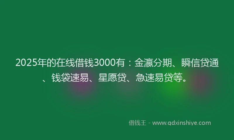 2025年的在线借钱3000有：金瀛分期、瞬信贷通、钱袋速易、星愿贷、急速易贷等。