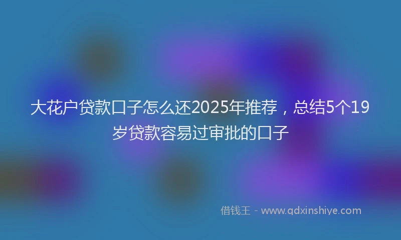 大花户贷款口子怎么还2025年推荐，总结5个19岁贷款容易过审批的口子