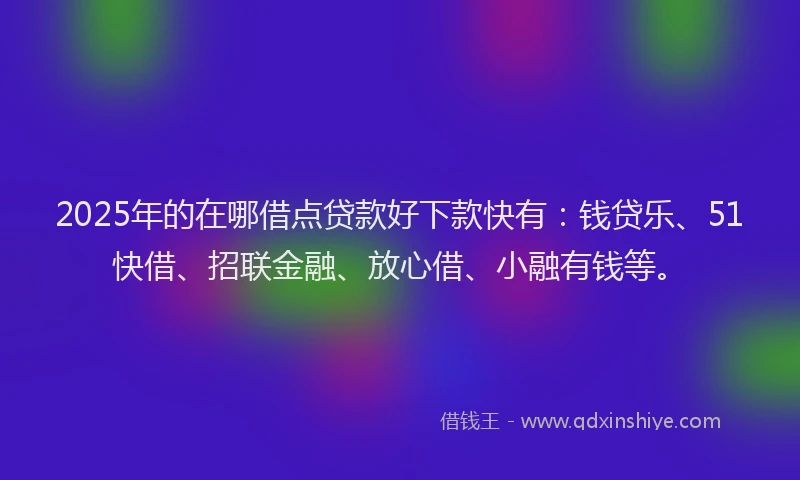 2025年的在哪借点贷款好下款快有：钱贷乐、51快借、招联金融、放心借、小融有钱等。