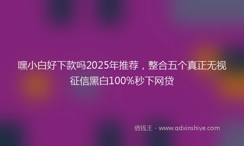 嘿小白好下款吗2025年推荐，整合五个真正无视征信黑白100%秒下网贷
