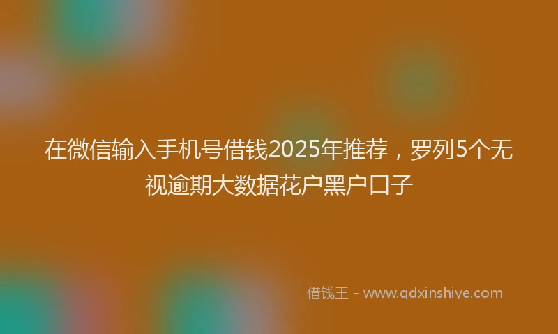 在微信输入手机号借钱2025年推荐,罗列5个无视逾期大数据花户黑户口子