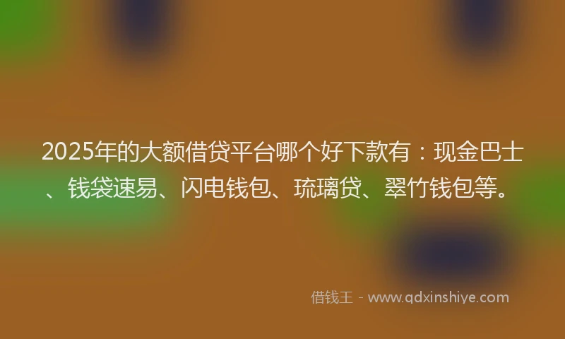 2025年的大额借贷平台哪个好下款有：现金巴士、钱袋速易、闪电钱包、琉璃贷、翠竹钱包等。