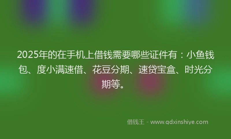 2025年的在手机上借钱需要哪些证件有：小鱼钱包、度小满速借、花豆分期、速贷宝盒、时光分期等。
