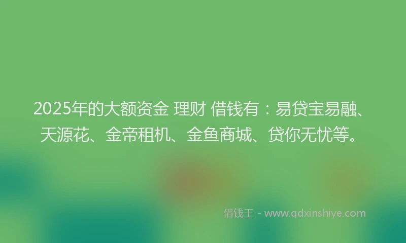 2025年的大额资金 理财 借钱有：易贷宝易融、天源花、金帝租机、金鱼商城、贷你无忧等。