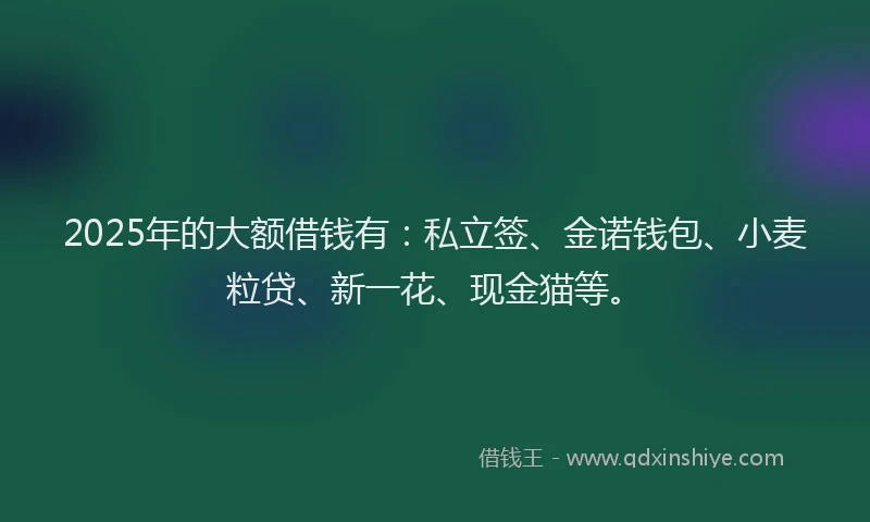 2025年的大额借钱有：私立签、金诺钱包、小麦粒贷、新一花、现金猫等。