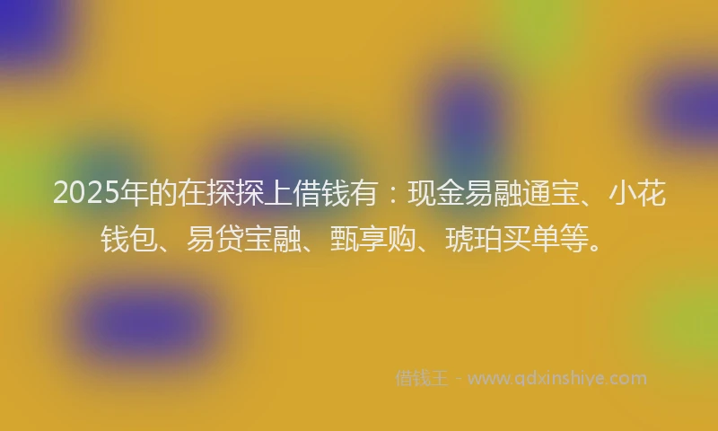 2025年的在探探上借钱有：现金易融通宝、小花钱包、易贷宝融、甄享购、琥珀买单等。
