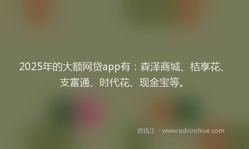 2025年的大额网贷app有：森泽商城、桔享花、支富通、时代花、现金宝等。