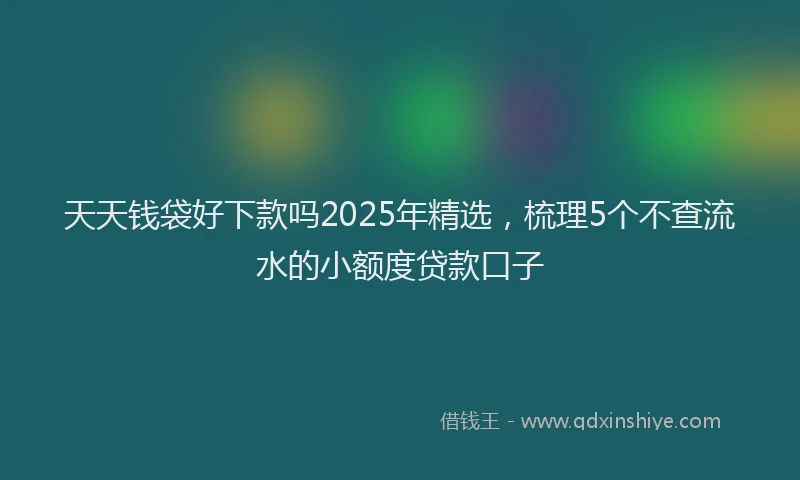 天天钱袋好下款吗2025年精选，梳理5个不查流水的小额度贷款口子