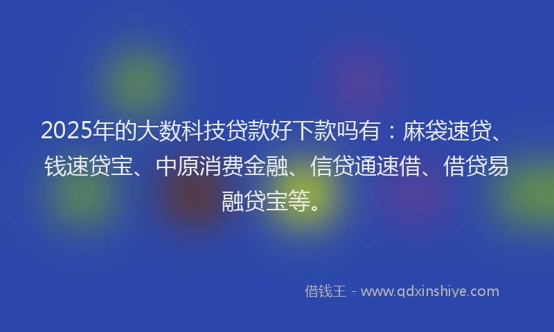 2025年的大数科技贷款好下款吗有：麻袋速贷、钱速贷宝、中原消费金融、信贷通速借、借贷易融贷宝等。