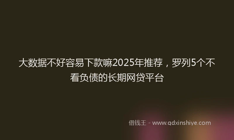 大数据不好容易下款嘛2025年推荐，罗列5个不看负债的长期网贷平台