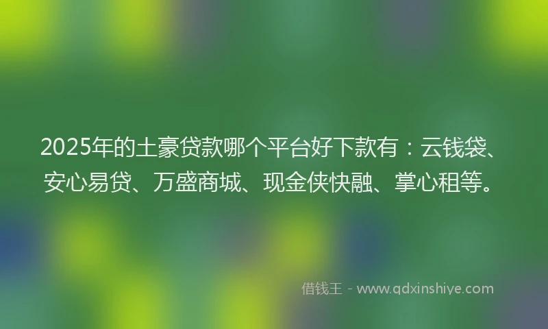 2025年的土豪贷款哪个平台好下款有：云钱袋、安心易贷、万盛商城、现金侠快融、掌心租等。